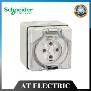 Sd00631 (1)