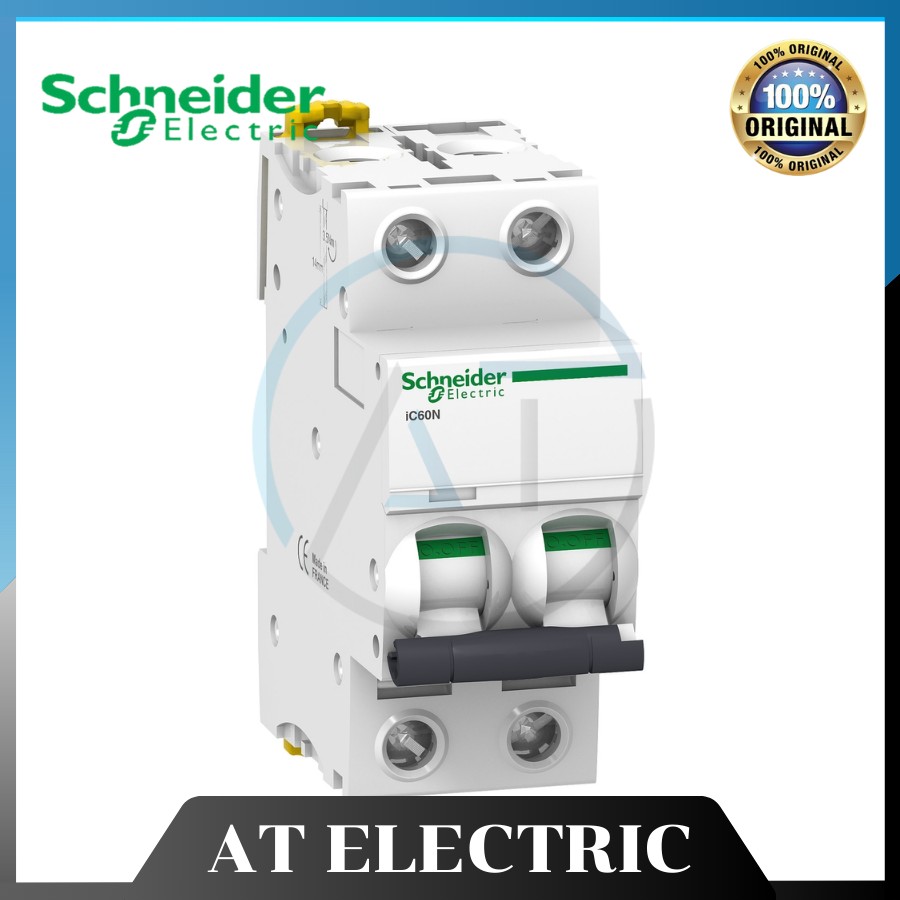 MCB Schneider A9F84225