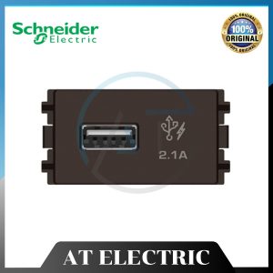 Thiết Bị Schneider 8431USB_BZ