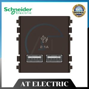 Thiết Bị Schneider 8432USB_BZ