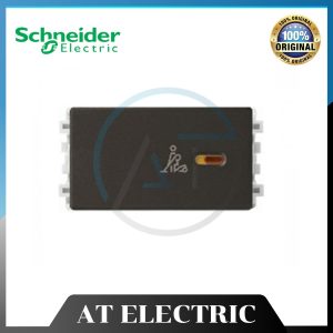 Thiết Bị Schneider 8431SPCU_BZ_G19
