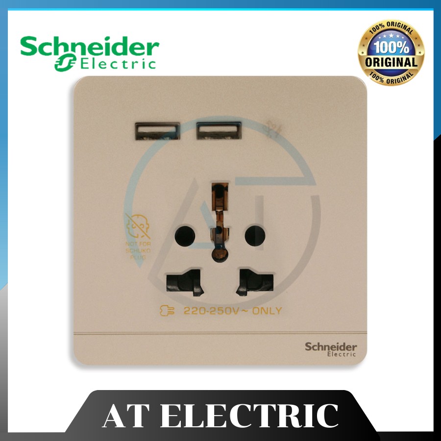 Thiết Bị Schneider E8342616USB_WG_G19