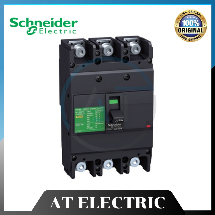 MCCB Schneider EZC250N3100