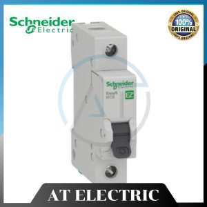 MCB Schneider EZ9F34110