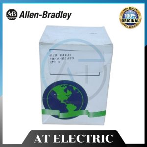 Rơ Le Allen Bradley 700DC-MB31024VDC