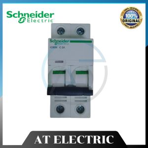 MCB Schneider A9F74202